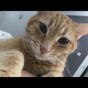 Meet your Posher, Margaret